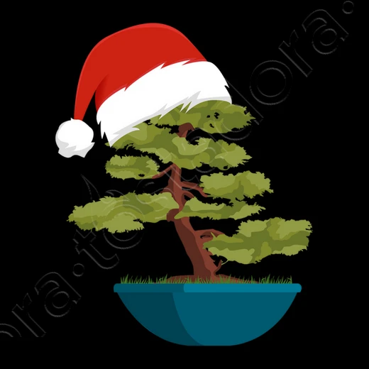 Cadeau De Noël Bonsaï – Image 16