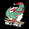 Cadeau De Noël Drôle Dino Ski Rex Ski