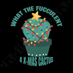 Ce Que Le Fucculent Un Cactus De Noël