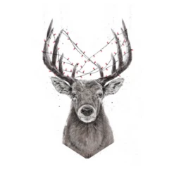 Cerf De Noël
