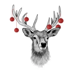 Cerf De Noël