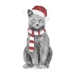 Chat De Noël