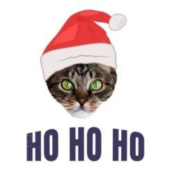 Chat Père Noël Avec Bonnet De Noel Ho H