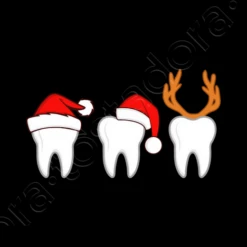 Dentiste Noël Assistant Dentaire