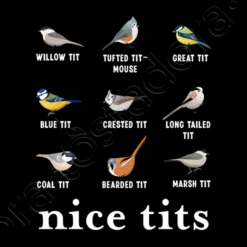 Jolis Seins Cadeau De Noël Pour Oiseau