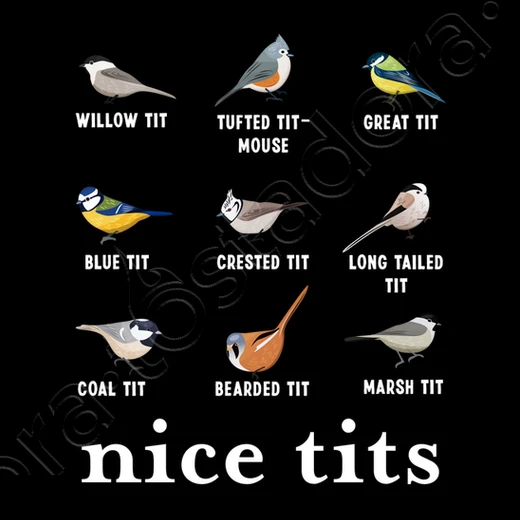 Jolis Seins Cadeau De Noël Pour Oiseau