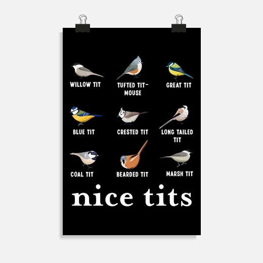 Jolis Seins Cadeau De Noël Pour Oiseau – Image 2