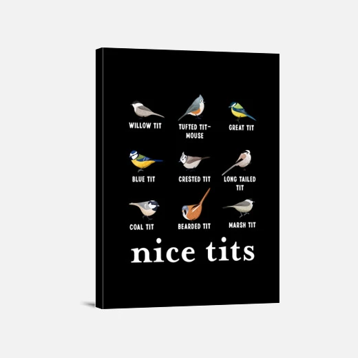 Jolis Seins Cadeau De Noël Pour Oiseau – Image 5