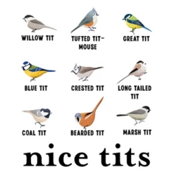 Jolis Seins Noël Cadeau Drôle Pour Oise