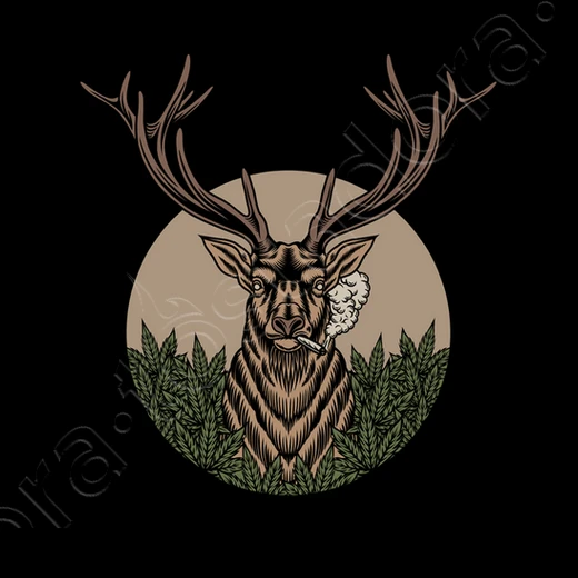 Le Cerf Du Père Noël – Image 10