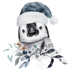 Noël Bébé Pingouin Aquarelle Animal