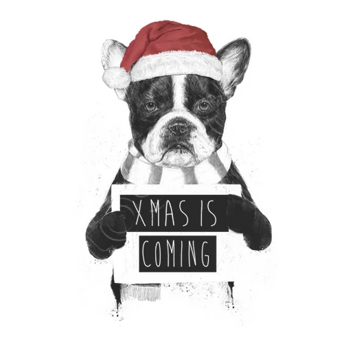 Noël Est à Coming – Image 10