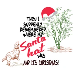 Noël Est Ici Bonnet De Noel Et Chien