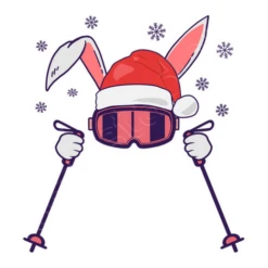 Ski Père Noël Lapin Avec Bâtons De Ski
