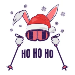 Ski Père Noël Lapin Avec Bâtons De Ski